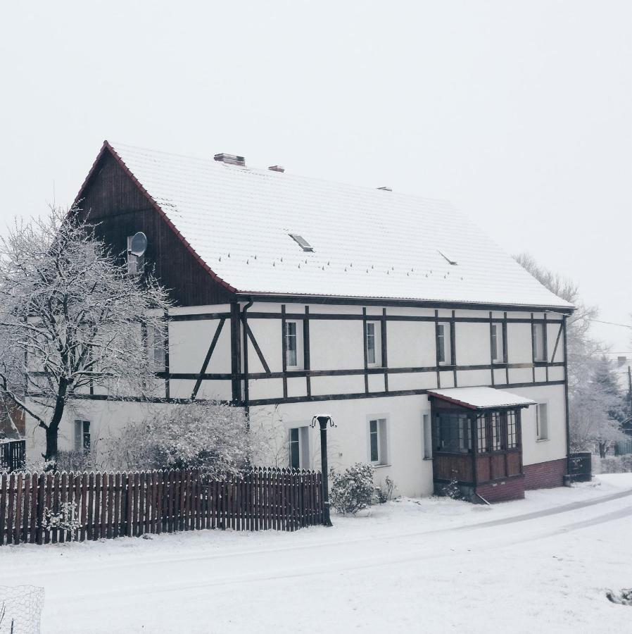 Apartmán Dom Nad Potokiem Proszowa Exteriér fotografie